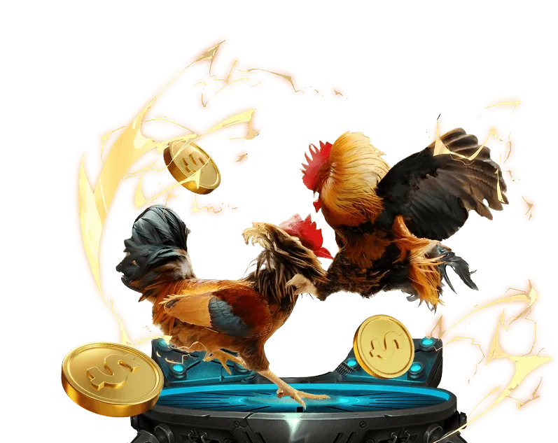 Cá cược Đá gà trực tiếp gh88